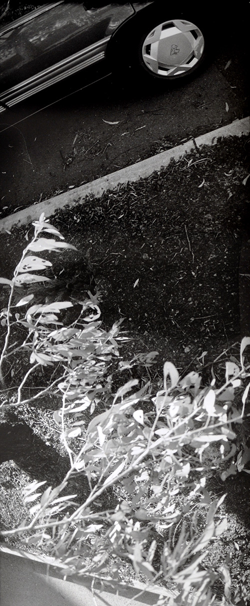 Joyce Evans: The Edge of the Road